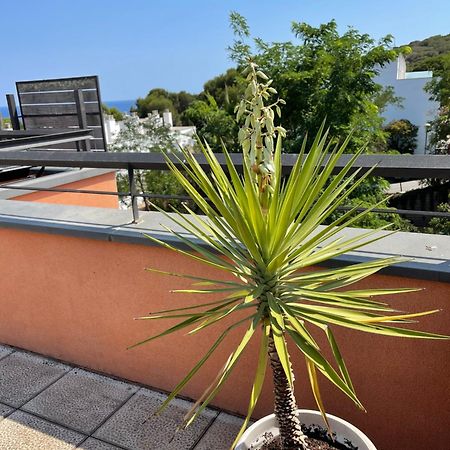 Sunny Apartment Sa Boadella Big Solarium Sea View Lloret de Mar Exterior foto